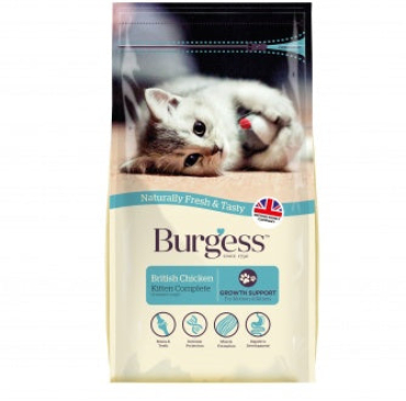 burgess_kitten_373831d3-c2c9-459a-9ca7-438a47fc0abe.jpg